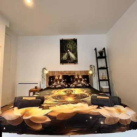 L'écrin De Pierre T1 Bis Balcon Appartement